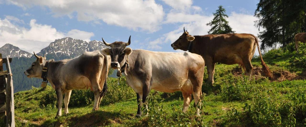 Ferienwohnung Maiernhof Bauernhof Ultental Sankt Pankraz Zewnętrze zdjęcie